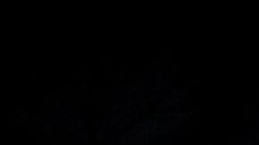 Afredo Adame forma parte de "La Casa de los Famosos 4"