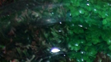 Alfredo Adame se defendió por los comentarios que hizo de Wendy Guevara