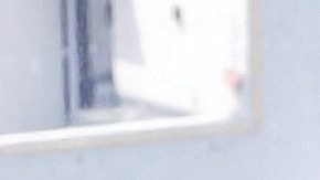 Michelle Renaud y Matías Novoa esperan su primer bebé juntos