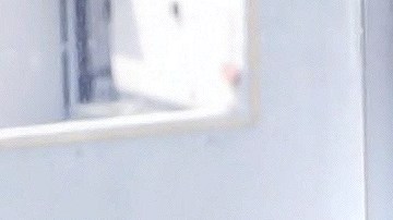 Michelle Renaud y Matías Novoa esperan su primer bebé juntos