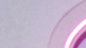 Wendy Guevara habló sobre Sergio Mayer