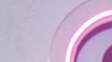 Wendy Guevara habló sobre Sergio Mayer