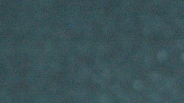 Eugenio Derbez ayuda a animales desprotegidos