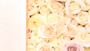 MMargot Robbie y Cillian Murphy en los Golden Globes 2024