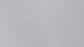 Nadia Ferreira Y Marc Anthony comparten un hijo en común.