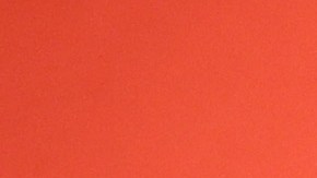 Este 28 de enero, Nadia Ferreira y Marc Anthony cumplen su primer aniversario de boda.