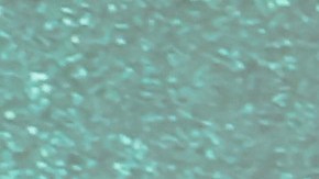 Eugenio Derbez posee una carrera artística de casi 50 años.