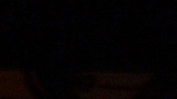 Premios Oscar 2024 se realizarán el 10 de marzo