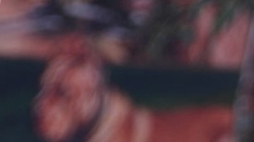 La cantante estadounidense Britney Spears en el estreno de "Érase una vez... en Hollywood" de Sony Pictures en el Teatro Chino TCL en Hollywood, California, el 22 de julio de 2019.