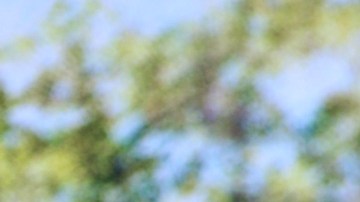 Nacho se convirtió en padre por sexta vez