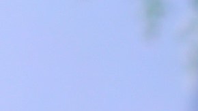 Aylín Mujica tendrá una nueva aventura televisiva en Telemundo.