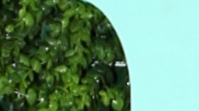 Elizabeth Gutiérrez y William Levy se dieron una segunda oportunidad en el amor el pasado año 2023.