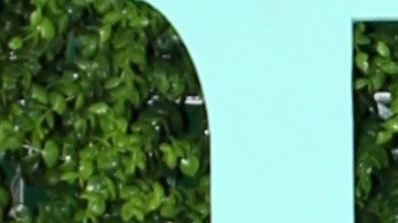 Elizabeth Gutiérrez y William Levy se dieron una segunda oportunidad en el amor el pasado año 2023.