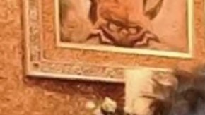 Alex Fernández le dio la bienvenida a su segunda hija de manera muy emotiva.