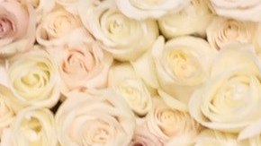 Pedro Pascal preocupó a sus fanáticos al llegar con un cabestrillo a los Globos de Oro 2024.