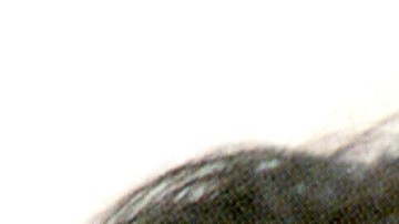 La asesina de Selena Quintanilla cumple 30 años de condena en 2025