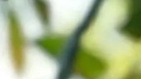 ¿Michelle Renaud está esperando una niña? La pista que desató las especulaciones