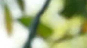 ¿Michelle Renaud está esperando una niña? La pista que desató las especulaciones