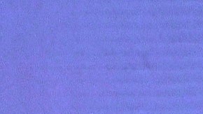 Angelique Boyer fue retenida por unos minutos en el aeropuerto