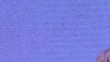 Angelique Boyer fue retenida por unos minutos en el aeropuerto