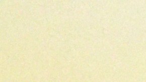 Angelique Boyer y Sebastián Rulli niegan rumores de rompimiento