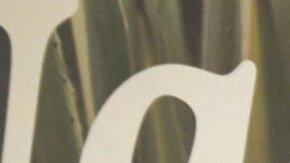 Brenda Zambrano revela detalles sobre su relación con Guty Carrera: “Le escribía a mi hermana”