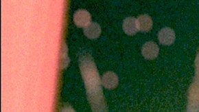 Sofía Vergara interpreta a Griselda Blanco en la nueva serie de Netflix, 'Griselda'.