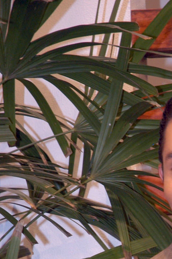 Ricardo Casares tiene 43 años de edad.