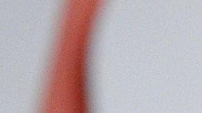 Jennifer Lopez y Marc Anthony estuvieron casados por diez años.