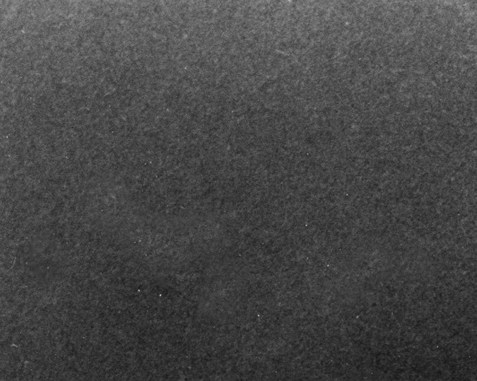 Miss Estados Unidos Jackie Loughery y el cantante Guy Mitchell obtienen una licencia de matrimonio en Bakersfield, California, el 24 de octubre de 1952.