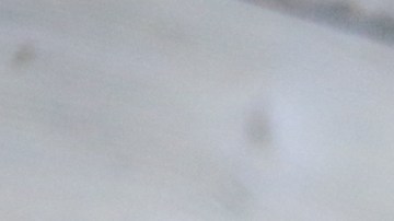 Luego de siete meses de haber anunciado su separación de Sofía Vergara, Joe Manganiello hace oficial su relación amorosa con otra mujer en sus redes sociales.