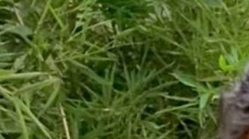 Danilo Carrera elige a la debutante Isabella Fernández para protagonizar a su lado "Only in CDMX", la primera película del ecuatoriano como escritor, director y productor que planea estrenar en 2024, entre más de seiscientas aspirantes/México, diciembre 2023.