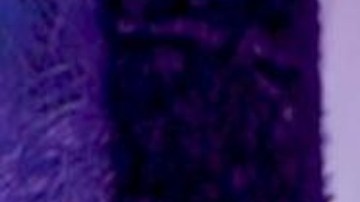 Danna Paola en la alfombra roja de la 20a edición de Premios Juventud (Univision) desde el histórico Coliseo de Puerto Rico José Miguel Agrelot/San Juan, PR, 20 de julio 2023.