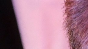 Sergio Mayer acompaña a Kimberly La Más Preciosa en una conferencia de prensa para anunciar que será nombrada “Reina Gay” en la Marcha del Orgullo que se realizará en junio/México, 19 de febrero 2024.