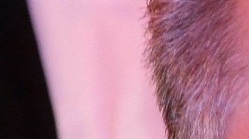 Sergio Mayer acompaña a Kimberly La Más Preciosa en una conferencia de prensa para anunciar que será nombrada “Reina Gay” en la Marcha del Orgullo que se realizará en junio/México, 19 de febrero 2024.