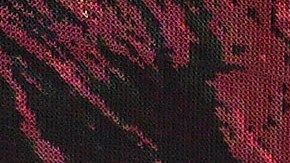 Chiquis Rivera se casó con su novio, Emilio Sánchez.