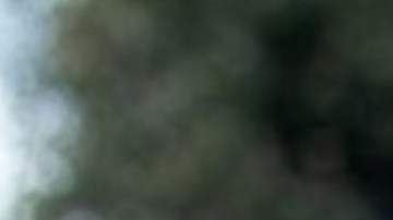 Emilio Osorio es hijo de Niurka y Juan Osorio.