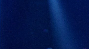 Lucero y Manuel Mijares continúan con sus presentaciones musicales.