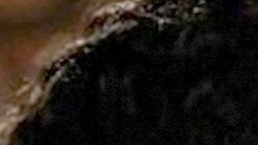 Michelle Renaud y Matías Novoa se casaron en una boda privada a finales de 2023.