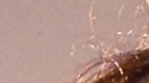 Selena Quintanilla falleció a los 24 años el 31 de marzo de 1995.