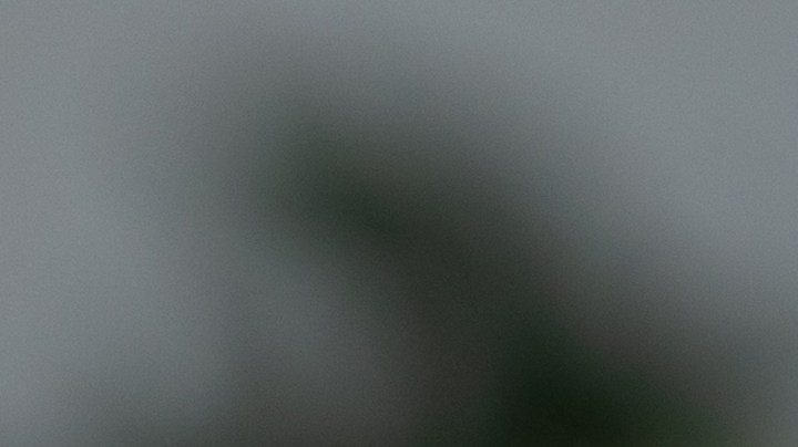 ¡No te quedes sin ver! Estos son los estrenos imperdibles de Netflix para febrero 2024