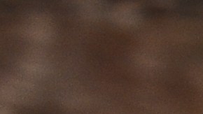 ¡Los pronósticos se cumplieron! Taylor Swift llegó al Super Bowl para alentar a su novio Travis Kelce