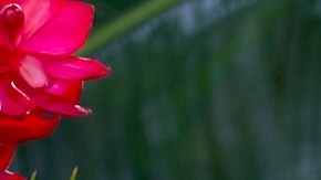 Sofía Vergara luchó contra el cáncer a los 28 años de edad.