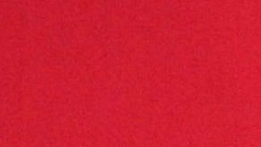 Stephanie Salas revela que habló con Luis Miguel en la boda de Michelle Salas.