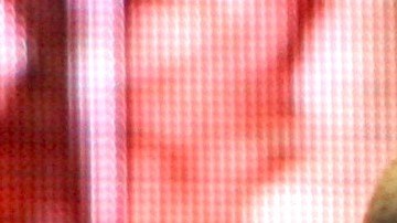 Verónica Castro finalmente conoce a la novia de Cristian Castro, Mariela Sánchez.