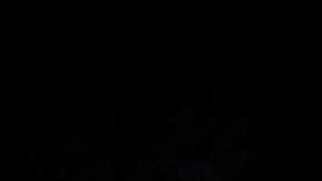 Alfredo Adame habló sobre su salida de 'La Casa de los Famosos 4'.