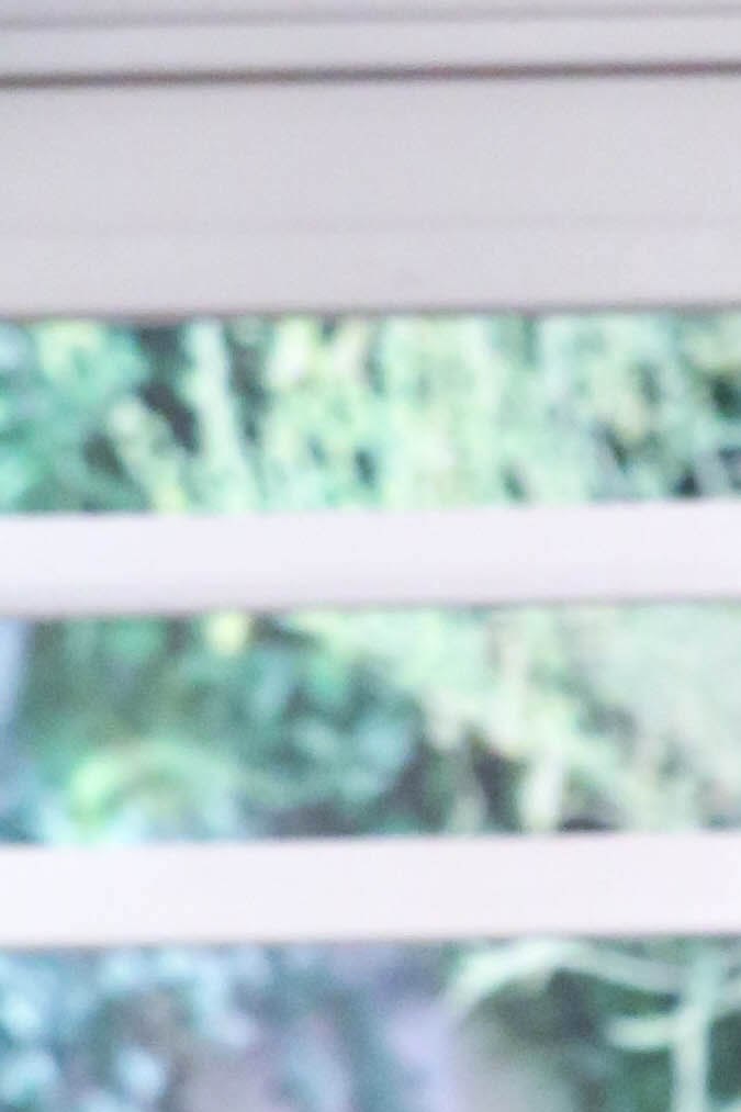 Adamari López y Toni Costa tienen una hija juntos llamada Alaïa.