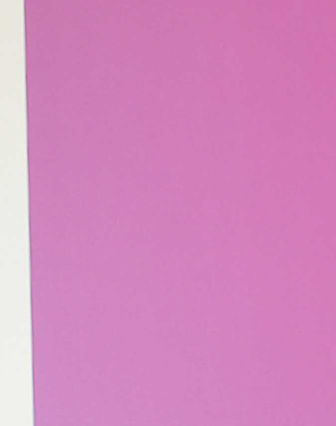 Daniel Sarcos tuvo a su hijo menor a los 52 años.