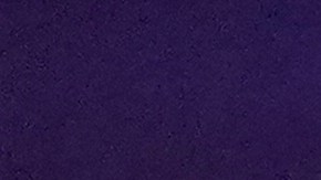 Daddy Yankee relató una dura experiencia en su vida