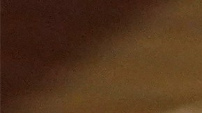 Will Smith fue vetado de los premios Oscar tras incidente con Chris Rock.